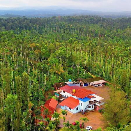 New Organic Home Stay Mudigere Bagian luar foto