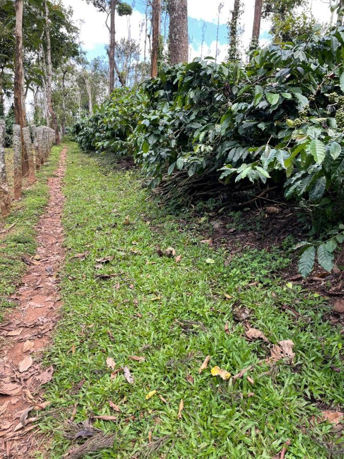 New Organic Home Stay Mudigere Bagian luar foto