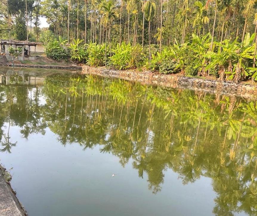 New Organic Home Stay Mudigere Bagian luar foto