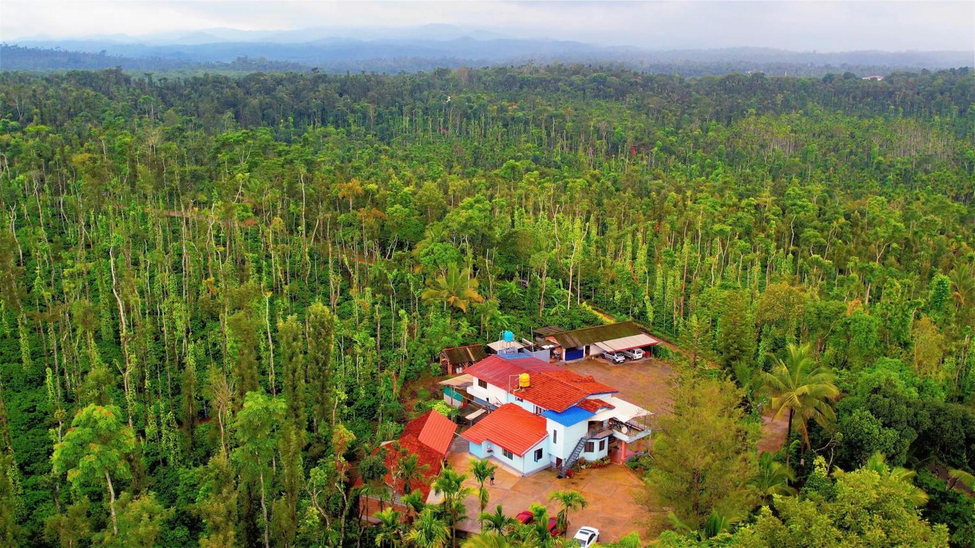 New Organic Home Stay Mudigere Bagian luar foto